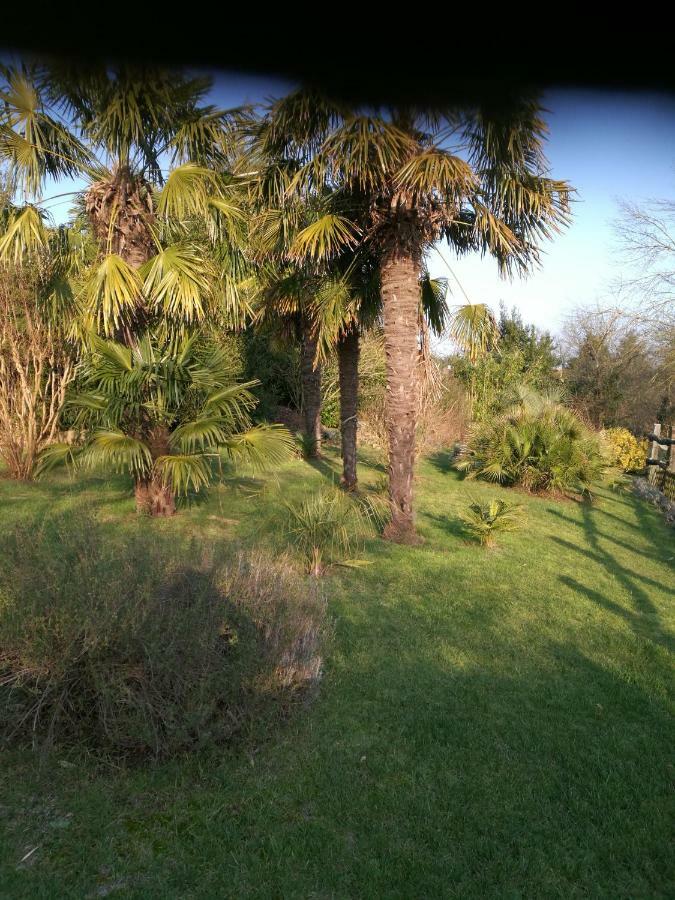 Le Coing Villa La Guiltiere Exterior photo